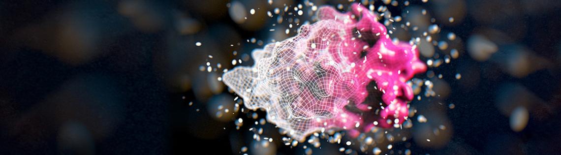 A data-generated 3D model of a mediator protein on a black background. The right half of the protein is pink and the left half is transparent with grid marks.