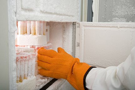 An orange-gloved hang reaches for vials in an icy freezer.
