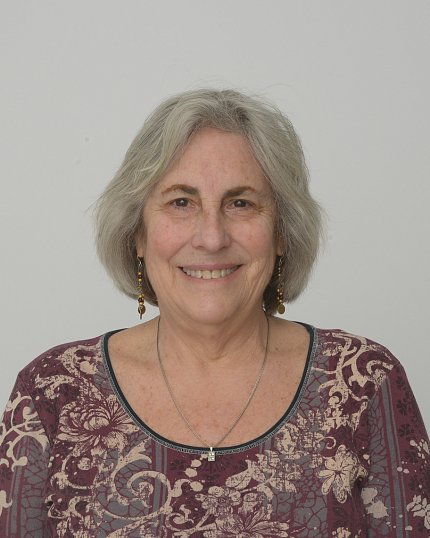 Headshot of Henken. She has short gray hair and is wearing a burgundy patterned shirt.