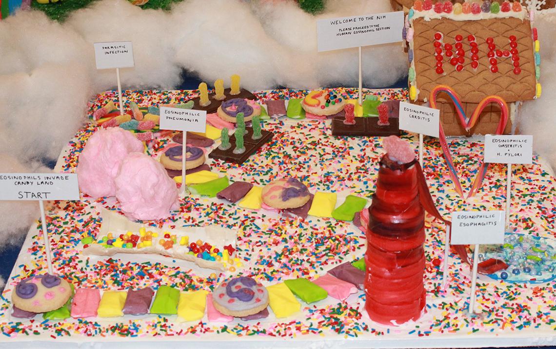 Colorful spaces on a gingerbread game board, titled North Polarized cells
