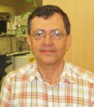 Headshot of Ribeiro, wearing glasses and an orange plaid shirt. A lab bench with several shelves above it sits in the background behind Ribeiro's right shoulder.