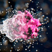 A computer-generated 3D image of a mediator protein. The right half is pink and the left half is grid-patterned.